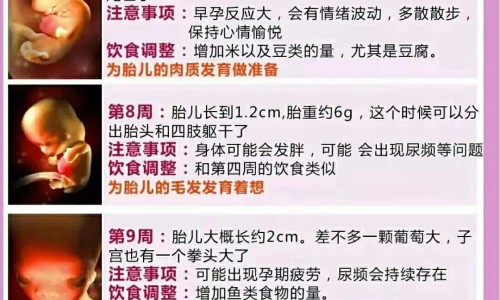 中药白皮价格网- 中药白皮价格多少知识,分享中药白皮还叫什么名字